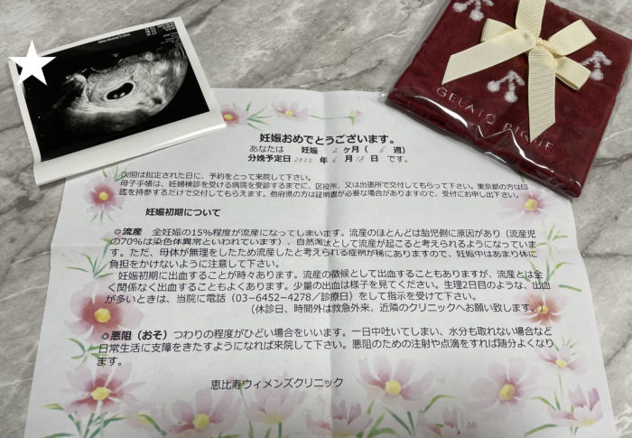 妊婦日記 〜妊活編〜