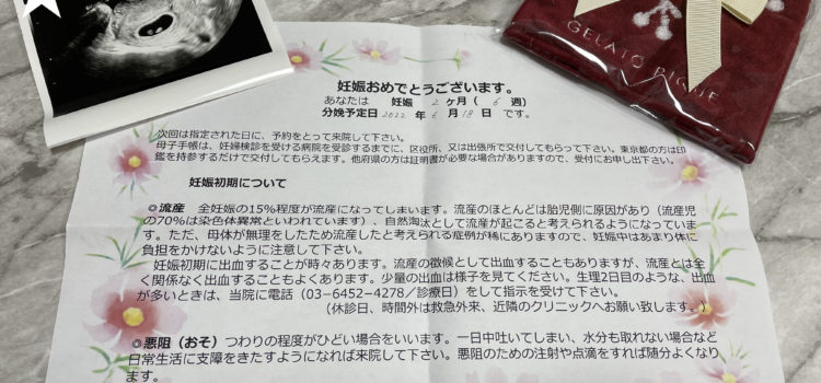 妊婦日記 〜妊活編〜